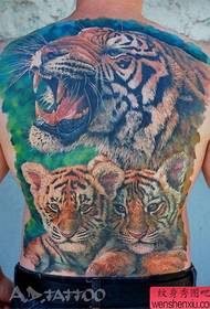 vyriškas pilnas nugaros atvaizdo tigro galvos tatuiruotės modelis