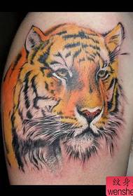 model de tatuaj cap popular tigru frumos bărbat