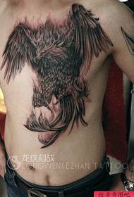 Patrón frontal masculino popular tatuaxe de águila fresco fresco