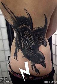 pasu vzorec tetovaže orla