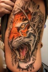 mga kilid sa kilid Realistiko nga kolor sa tattoo sa tiger sa sapinit