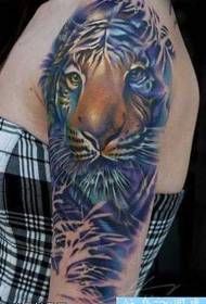 „Big Arm“ spalvos „Tiger“ tatuiruotės raštas