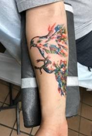 muchachos en el brazo pintado gradiente líneas abstractas animales águila tatuaje fotos