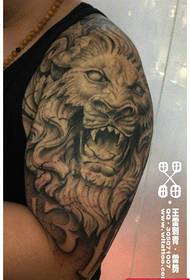 brazo patrón de tatuaxe de cabeza de león de pedra super fermoso