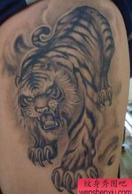Iphethini le-Tiger tattoo: Imodeli ye-Tiger Tiger