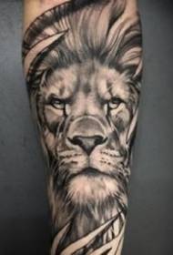 una serie di immagini di tatuaggi realistici leone nero grigio prepotente