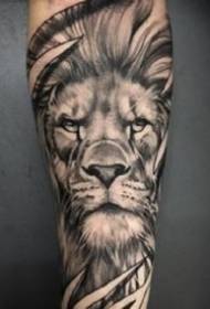 a set of domineering realistic black gray lion tattoo pictures