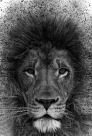 manuskripta tatuaje de nigra Spun-malgranda leono de bestoj