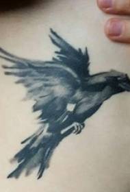 Jongen zréck schwaarz gro Skizz kreativ dominéierend Adler Tattoo Biller