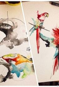 Европейские и американские рукописные татуировки орел-попугай