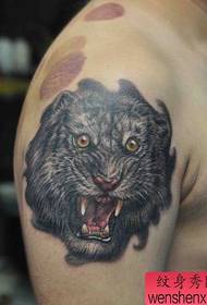 mužské paže dominující tygří hlavy tetování vzor