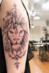 獅子線：一套漂亮的獅子座線條獅子紋身圖案129633-一組9件漂亮的獅子紋身設計