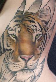 szuper reális realisztikus stílusú tigris tetoválás minta