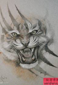 modello tatuaggio molto bello popolare testa di tigre