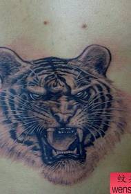 Tiger hlava tetování vzor s hrudníku-hrozba 129555-krása pasu vypadat dobře vypadající tygr tetování vzor