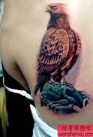 beauty back a colorful eagle tattoo pattern