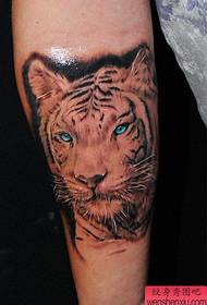 Patron de tatouage tête de tigre cool dominateur bras