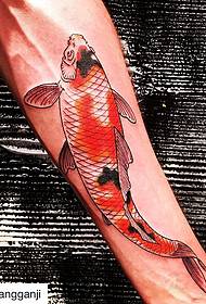 الگوی تاتو ماهی مرکب ماهی مرکب