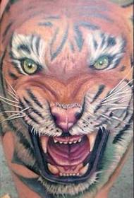 Been tiger tattoo patroan