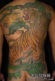 férfi hát szuper jóképű vissza a hegyi tigris tetoválás mintát