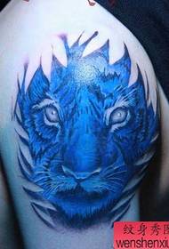 Ginklai atrodo geros spalvos tigro galvos tatuiruotės modelis