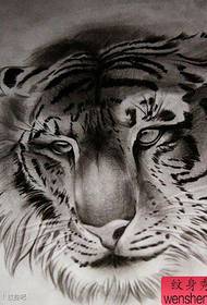 un manoscritto tatuaggio opaco testa di tigre