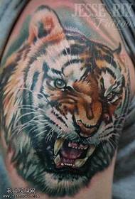 Arm color tiger head tattoo pattern