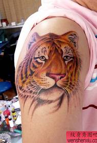 Tattoo Pattern Tiger Tattoo Head Odabran je uzorak s više slika