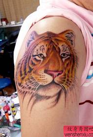 Tattoo Muster Tiger Head Tattoo Muster Selektéiert Multi-Picture