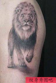 Lion Tattoo Pattern: classico bellissimo braccio Lion Tattoo Pattern