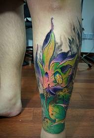 color squid tattoo tattoo suitable for various people
