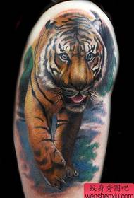 modello di tatuaggio braccio classico bel colore tigre