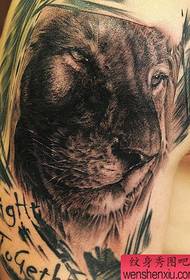 шема на тетоважа на лавовите: рака Европска и Американска реална шема на тетоважа на лавови