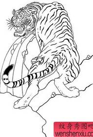 Exemplum tigris Life Book: Speculum Book tigris s Life Hawthorn