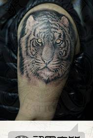 männlecht Aarm knallend düster Tiger Tattoo Muster