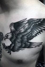 įvairaus prestižo, dominuojančio mažų gyvūnų erelio tatuiruotės modelis