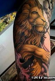 Patrón de tatuaje de león de personalidad