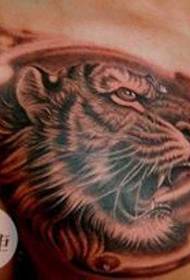 Modeli i tatuazhit mbi kokën e tigrit të shpatullave