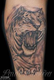 model tatuazhi tigër i zi me këmbë të zezë