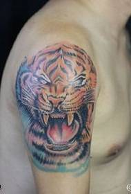 Tiger tattoo pattern for fogs shoulder
