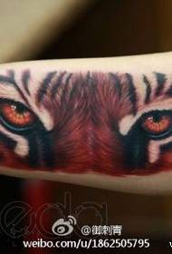 et kult tigerhode tatoveringsmønster inne i armen