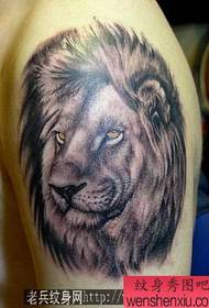 tattooêweya tatîlê ya serê şêr: Pîvanê şêr a serê şêr şemitok