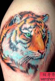 armare un modello di tatuaggio testa di tigre di colore