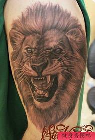 dominuojantis liūto galvos tatuiruotės modelis