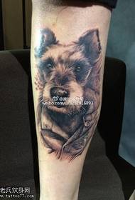 mielas naminių šunų tatuiruočių modelis