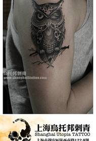 lámh fireann patrún tattoo gleoite owl gleoite