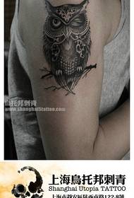 ruoko rwemurume rwakanaka wakanaka owl tattoo maitiro