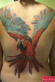 Priporočite sliko za celotno tatoo zadnjega papiga