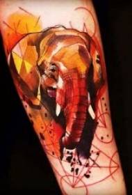 Baba elefánt tetoválás 9 csoport szelíd és vastag baba elefánt tetoválás mintával