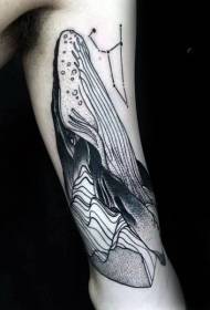 Tattoo whales dzakasiyana dzeatema uye grey whale tattoo magadzirirwo